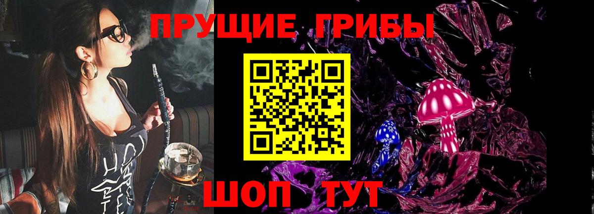 Псилоцибиновые грибы Cubensis Тында